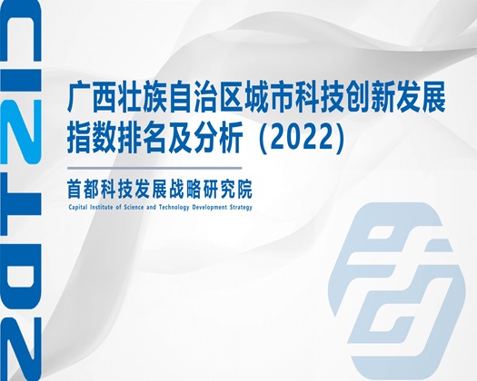 爆操欧洲白虎【成果发布】广西壮族自治区城市科技创新发展指数排名及分析（2022）